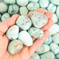 Chrysocolla Tumbled Large | Tumbled Gemstone | Wiccan Center