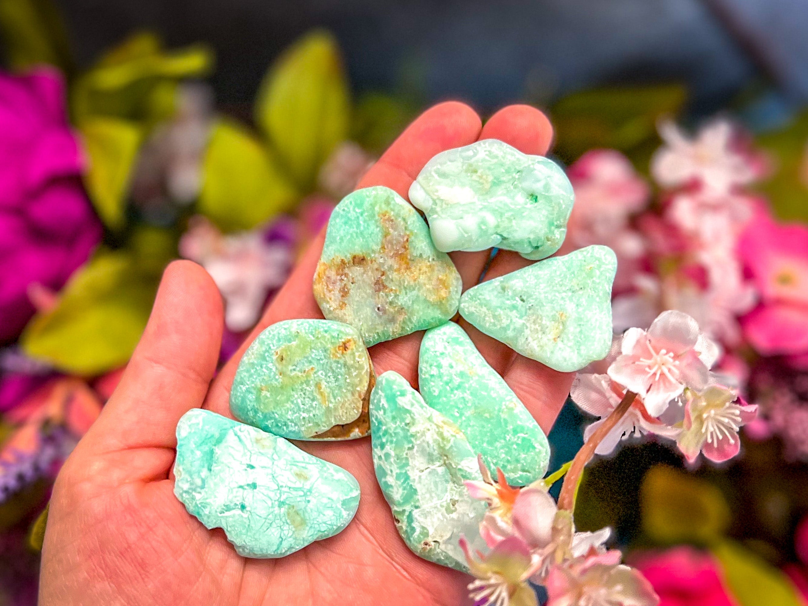 POLISHED CHRYSOPRASE Specimens | | Wiccan Center