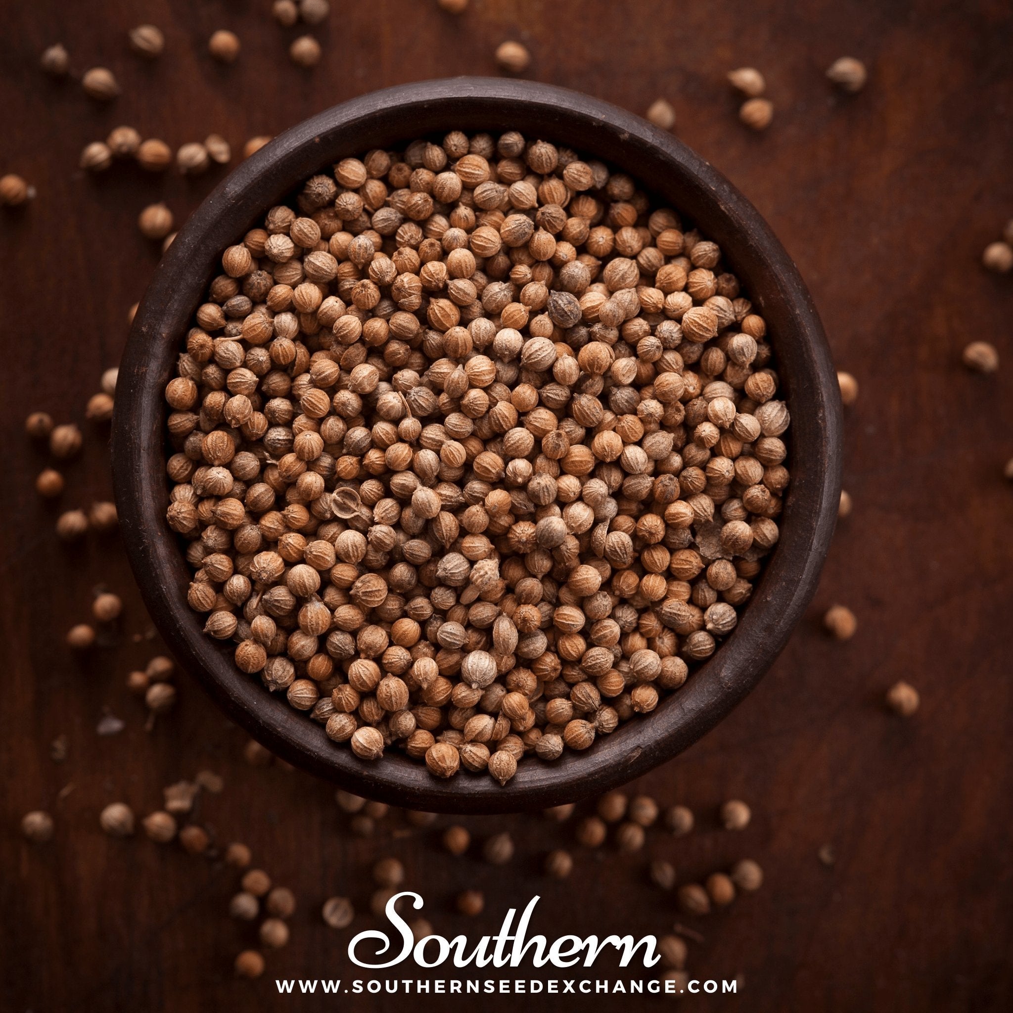 Santo Cilantro – 100 Seeds | | Wiccan Center