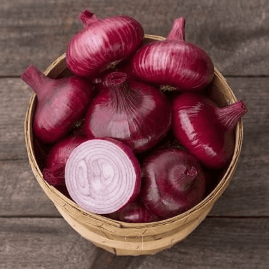 Cipollini Red Onion – 100 Seeds | Seeds | Wiccan Center
