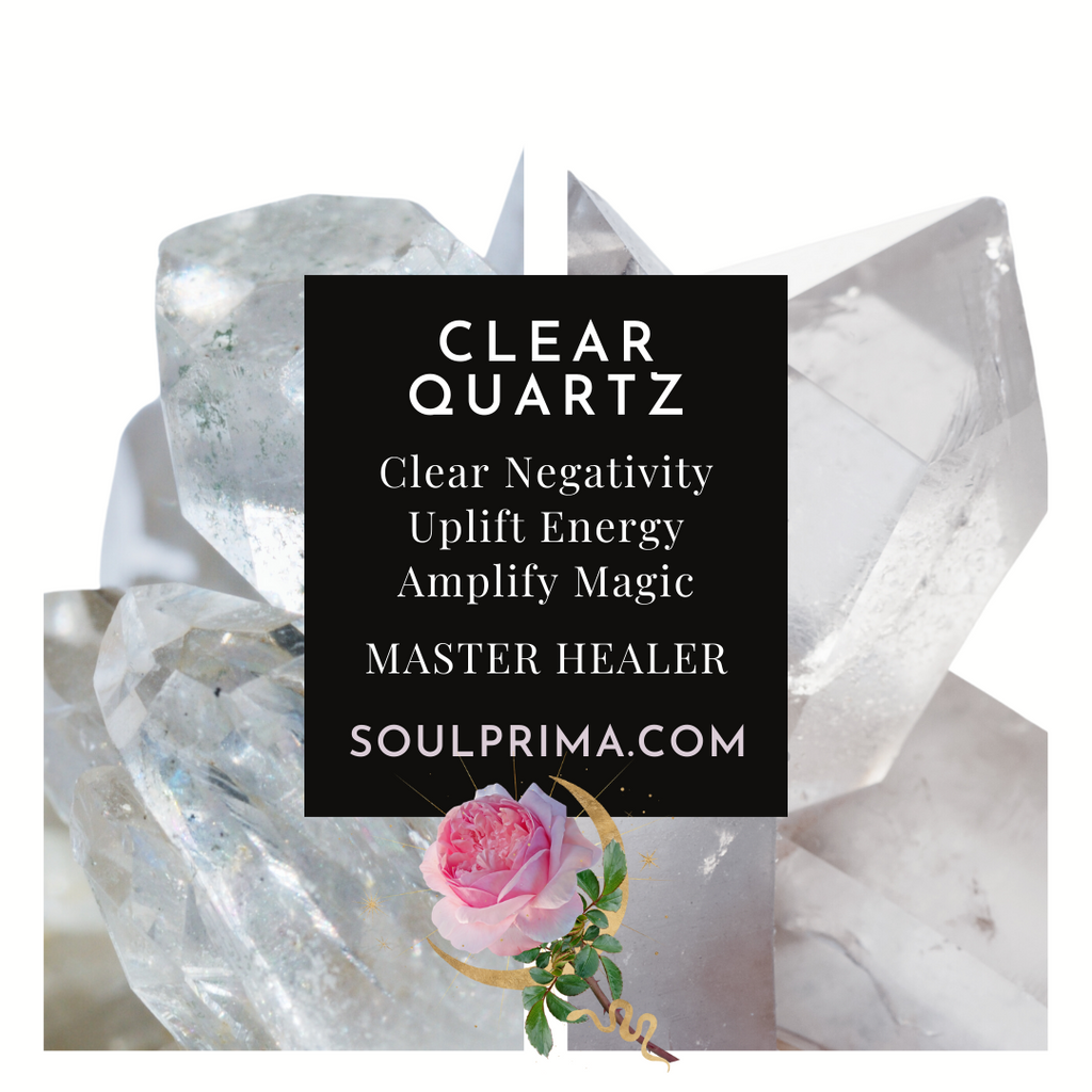 Lucky Dragon Turtle Crystal to Align with Your Purpose, Medium