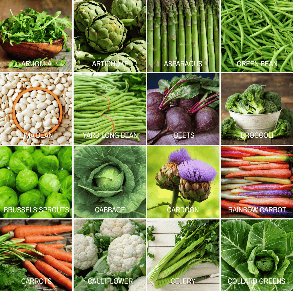 Community Garden Survival Seed Vault – 120 Seed Varieties | Seeds | Wiccan Center
