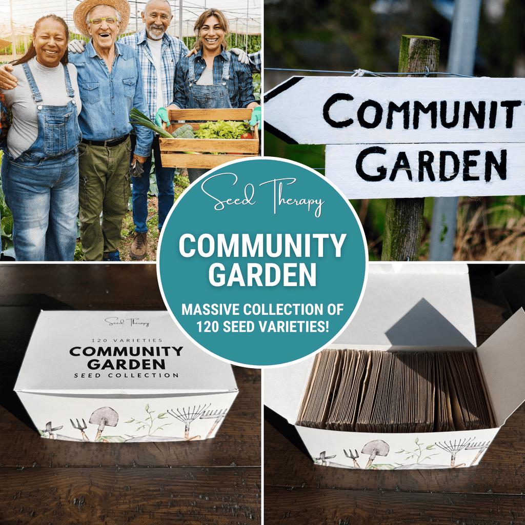 Community Garden Survival Seed Vault – 120 Seed Varieties | Seeds | Wiccan Center