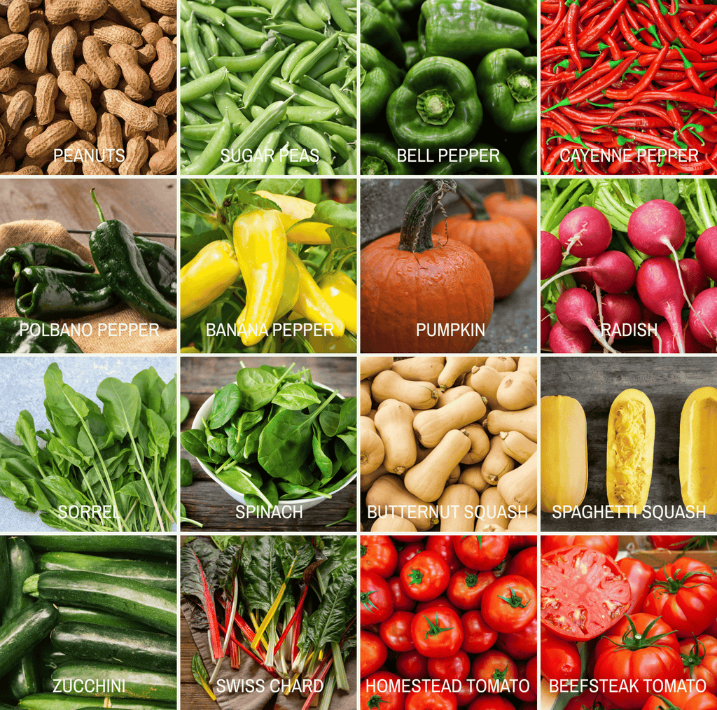 Community Garden Survival Seed Vault – 120 Seed Varieties | Seeds | Wiccan Center