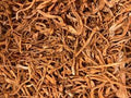 Cordyceps Mushroom - Sliced (1 oz) | Herbs | Wiccan Center