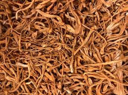 Cordyceps Mushroom - Sliced (1 oz) | Herbs | Wiccan Center