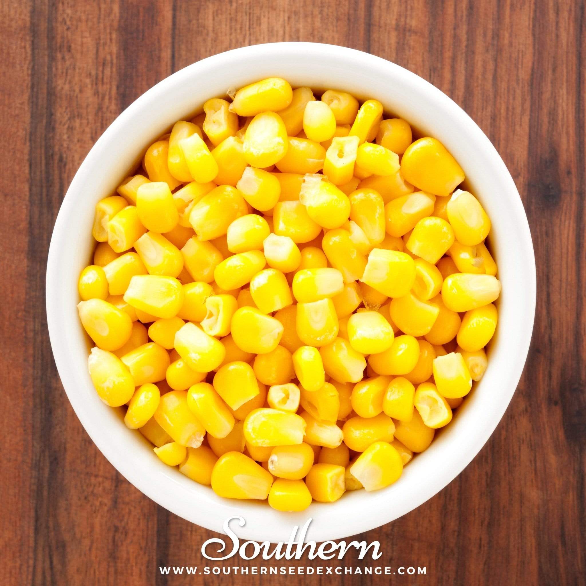 Bantam 12 Row Corn – 30 Seeds | Seeds | Wiccan Center