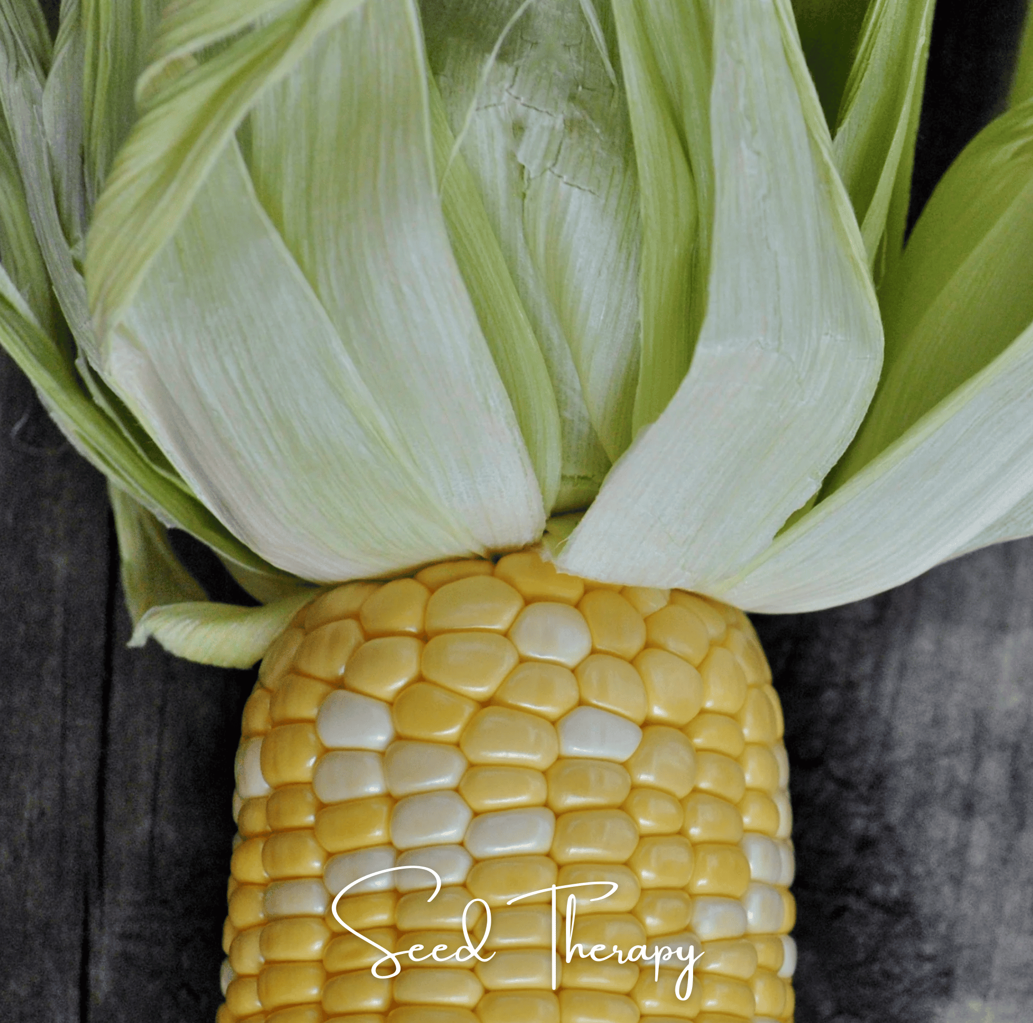 Peaches & Cream Corn – 30 Seeds | Seeds | Wiccan Center