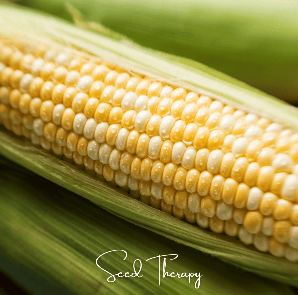 Peaches & Cream Corn – 30 Seeds | Seeds | Wiccan Center