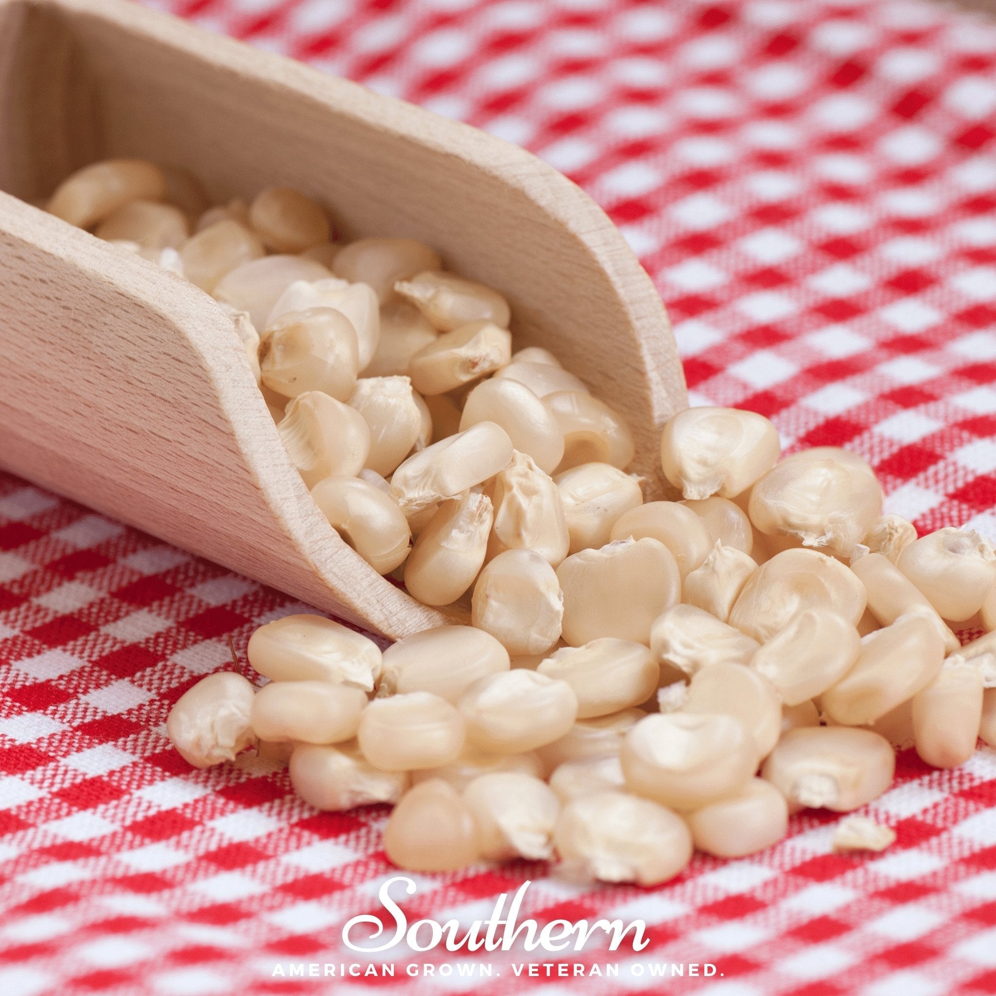 Stowells Evergreen Sweet Corn – 30 Seeds | Seeds | Wiccan Center