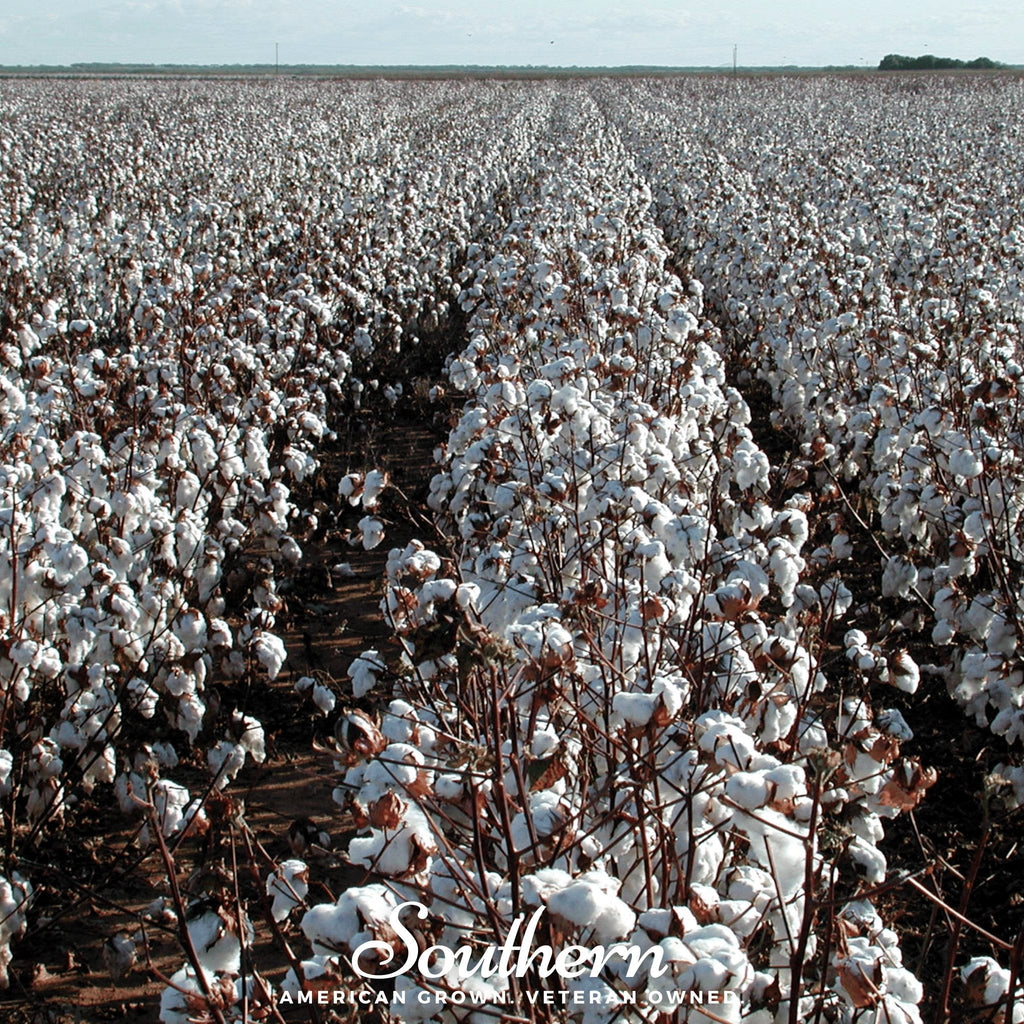 Upland Cotton – 20 Seeds | | Wiccan Center