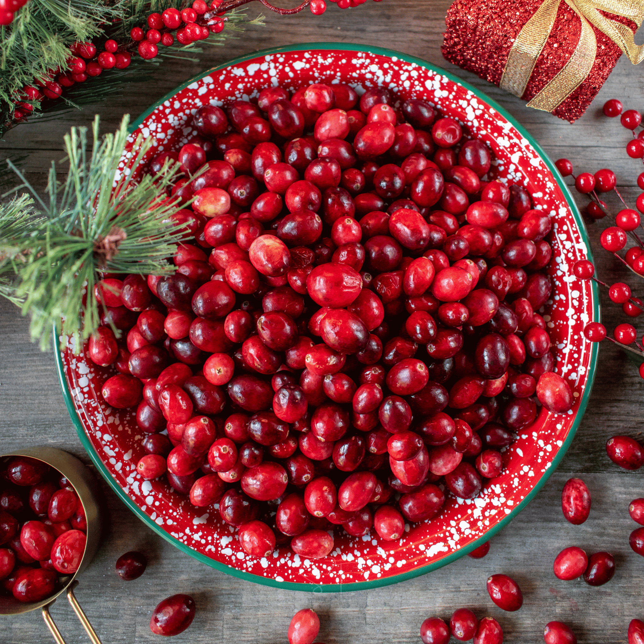 Cranberry, American – 50 Seeds | Seeds | Wiccan Center