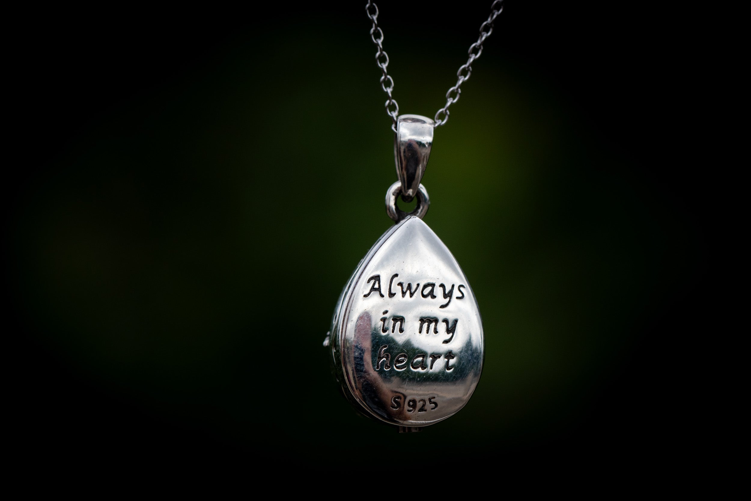 Tree of Life Always in My Heart
