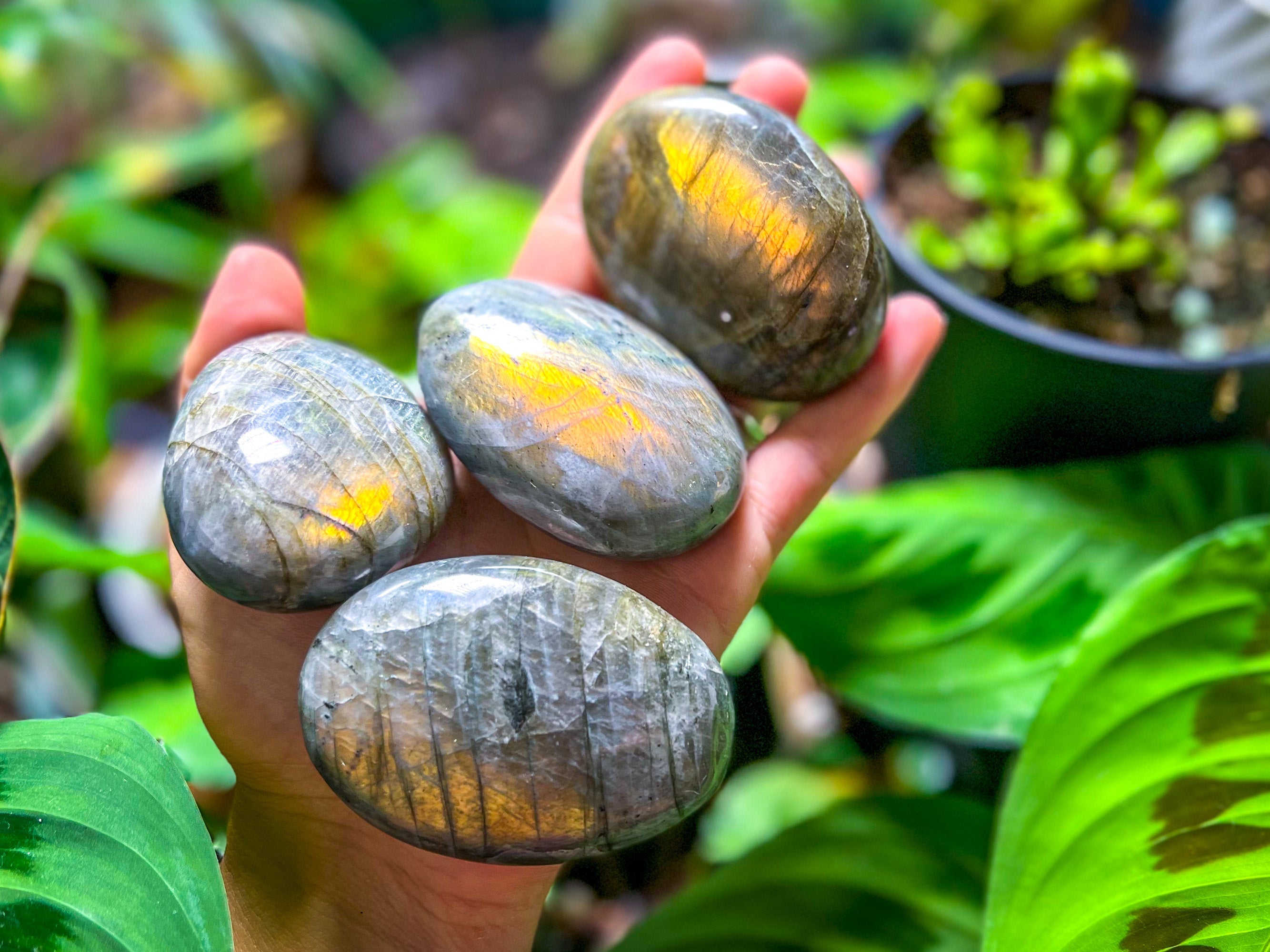 SUNSET Labradorite Palm Stone, Orange Labradorite, Yellow Labradorite, Pink Labradorite