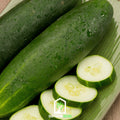 Beit Alpha Cucumber – 30 Seeds | Seeds | Wiccan Center