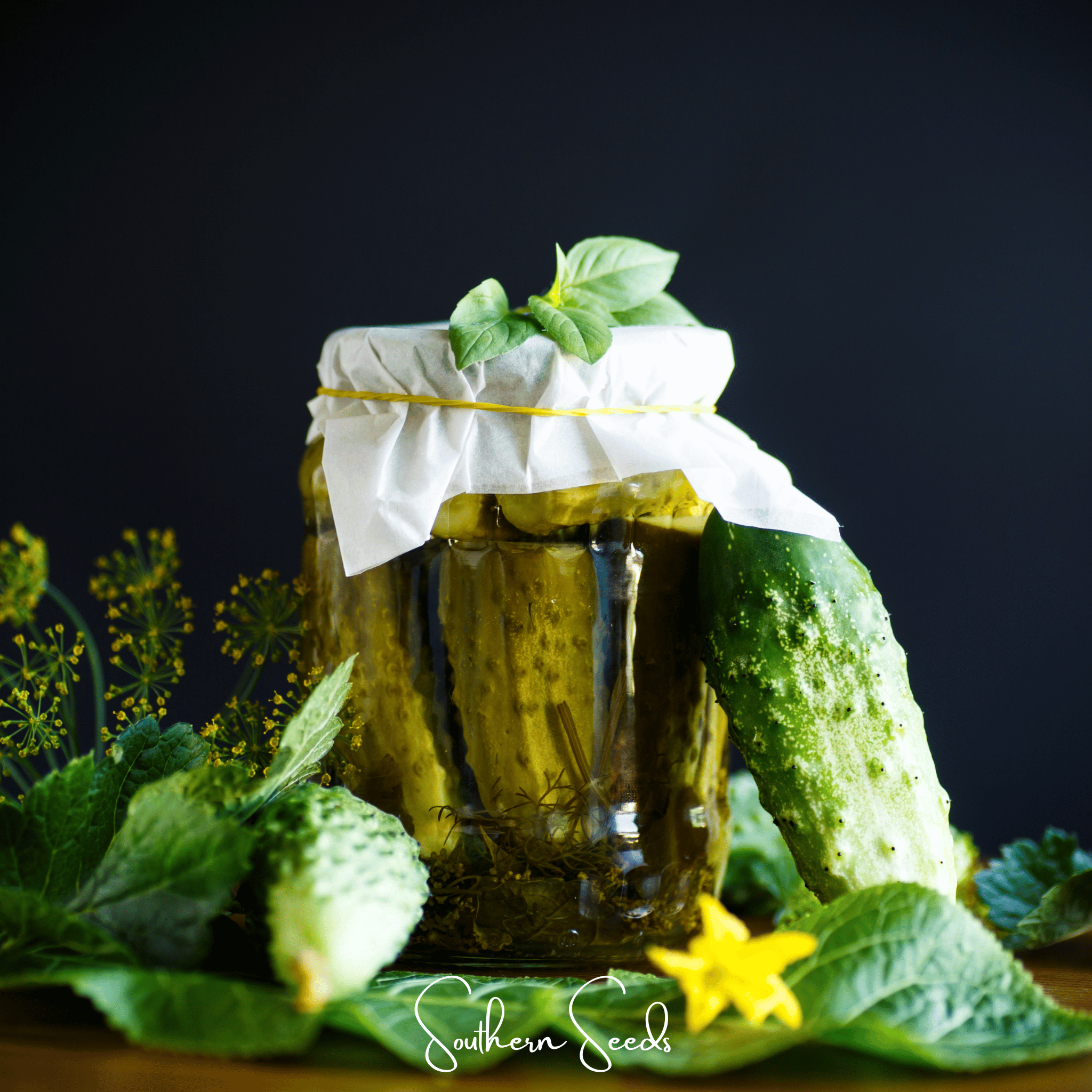 H-19 Little Leaf Cucumber – 30 Seeds | Seeds | Wiccan Center