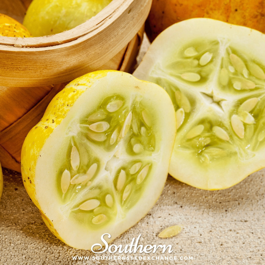 Lemon Cucumber – 30 Seeds | | Wiccan Center