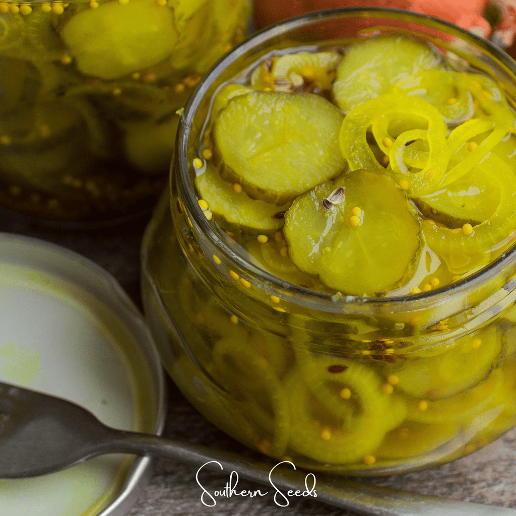 National Pickling Cucumber – 30 Seeds | Seeds | Wiccan Center