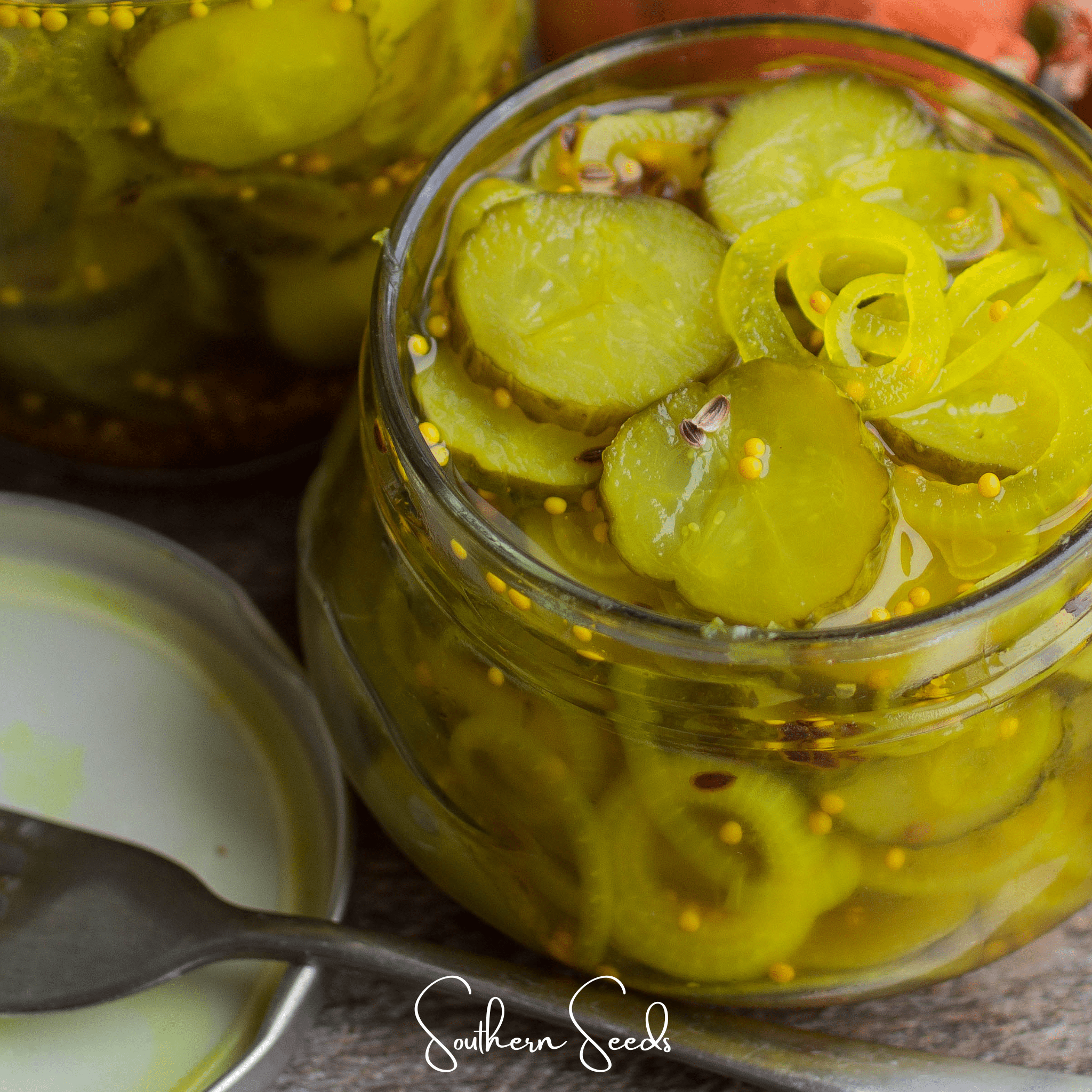 National Pickling Cucumber – 30 Seeds | Seeds | Wiccan Center
