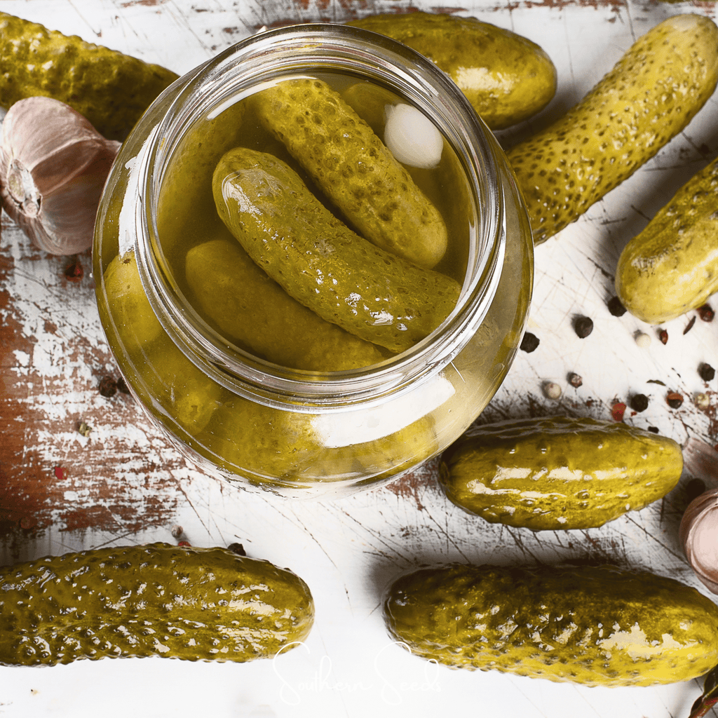 National Pickling Cucumber – 30 Seeds | Seeds | Wiccan Center