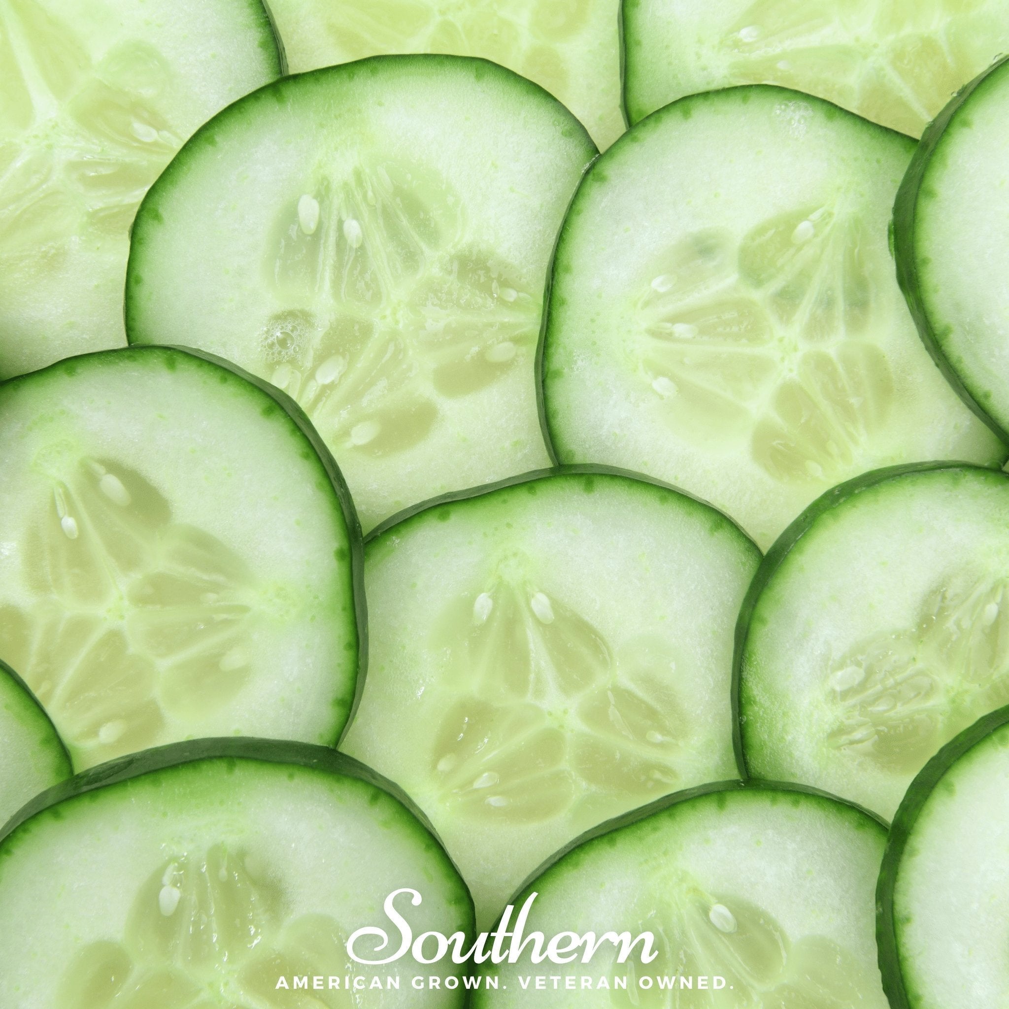 Spacemaster Cucumber – 30 Seeds | | Wiccan Center