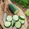 Spacemaster Cucumber – 30 Seeds | | Wiccan Center