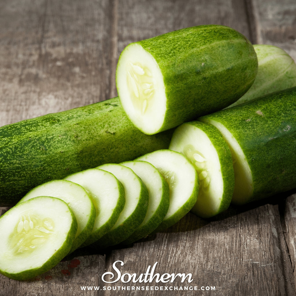 Straight 8 Cucumber – 30 Seeds | Seeds | Wiccan Center