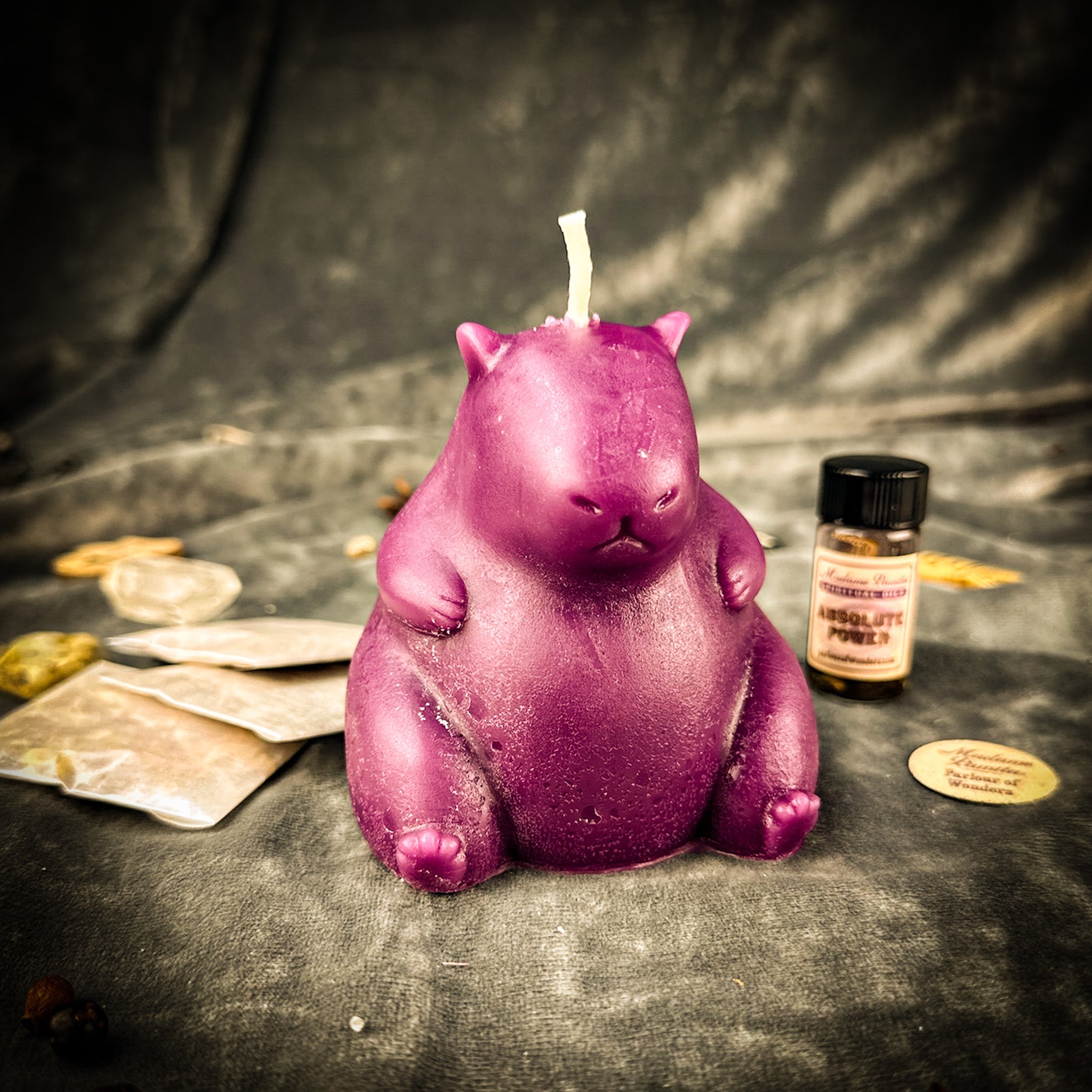 Cuddly Capybara Cooperation Candle Spell Kit - Harmony & Teamwork | Candle Spell Kit | Wiccan Center