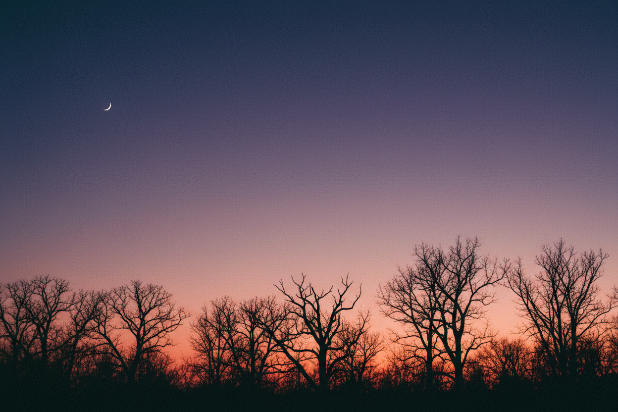 Cult Film Twilight Sliver Moon