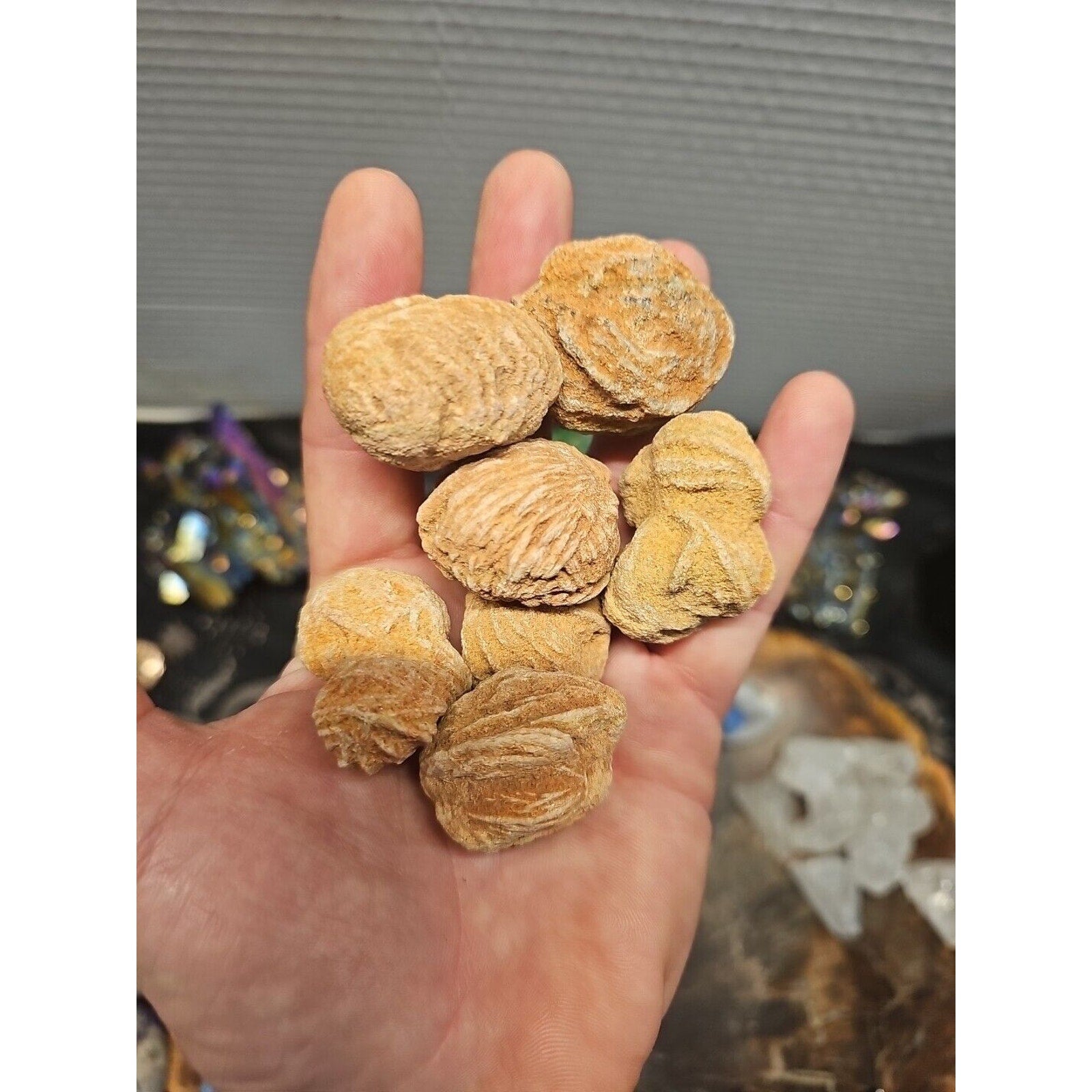 Desert Rose Selenite Mineral Specimen — Clarity & Stress Relief Crystal | CrystalCloud Company