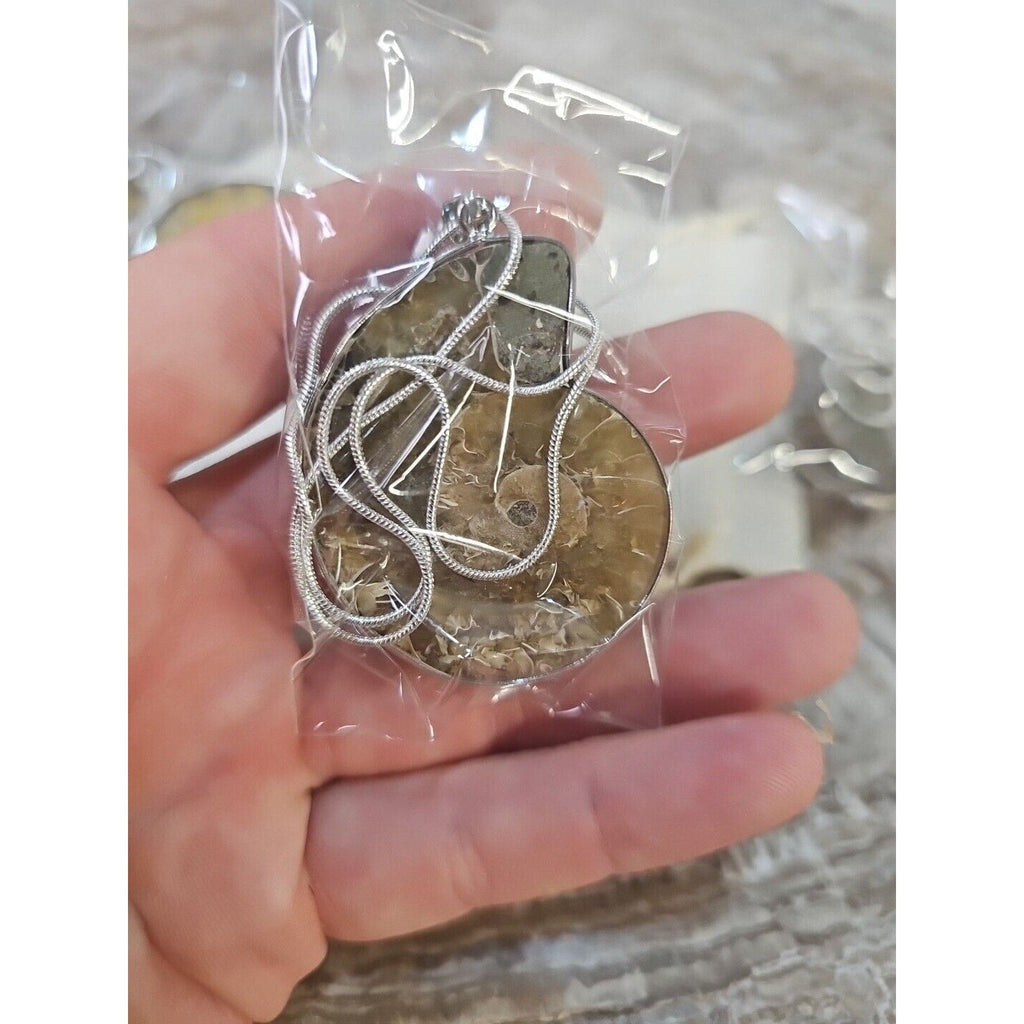Ammonite Fossil Pendant Necklace — Handmade with 18-inch Silver Chain | CrystalCloud Company