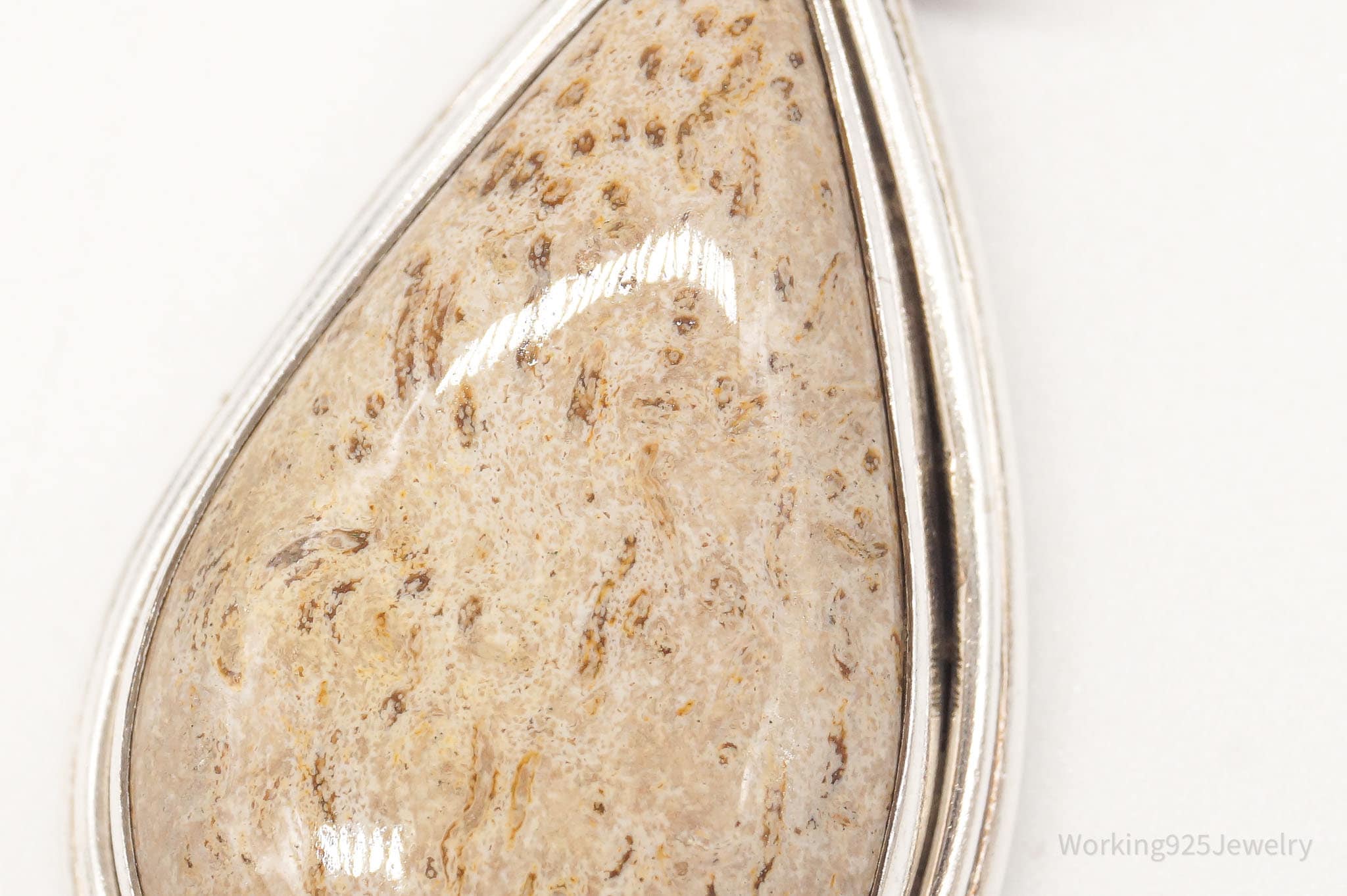 Vintage Large Fossil Sterling Silver Necklace Pendant | Jewelry > Necklaces > Pendants | Wiccan Center