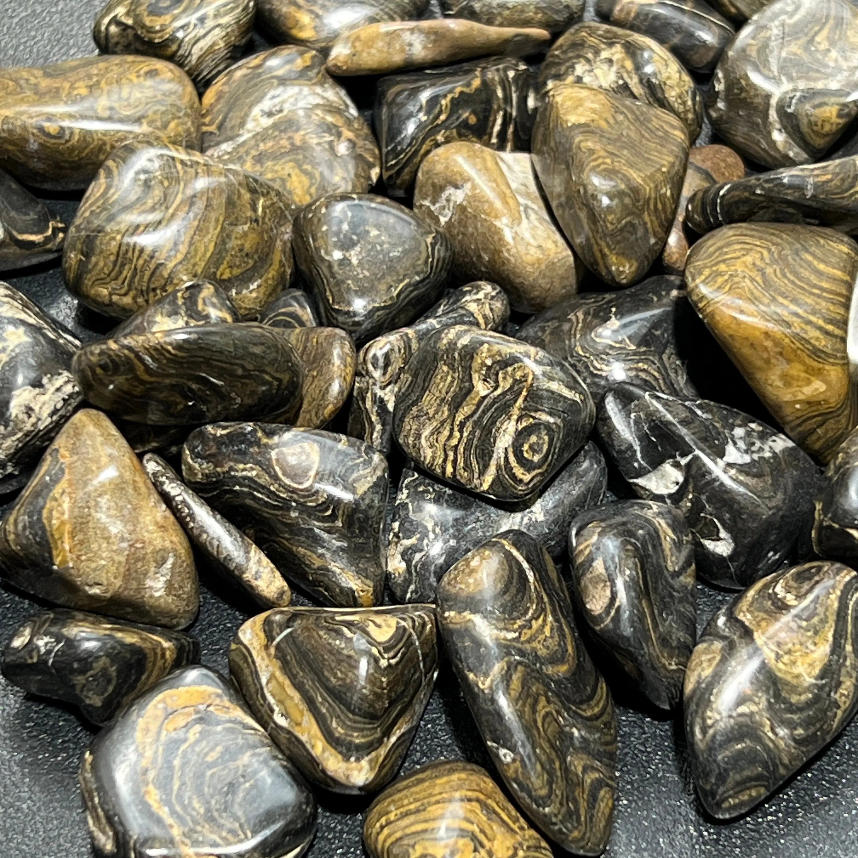 Stromatolite Fossil Tumbled Stones (By The Piece or Pound) | Home & Living > Home Decor > Home Accents > Rocks & Geodes | Wiccan Center