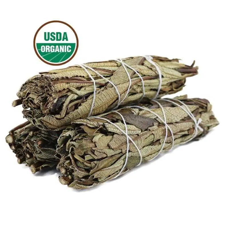 Yerba Santa Smudge Stick (4 in.) | Smudge Sticks | Wiccan Center