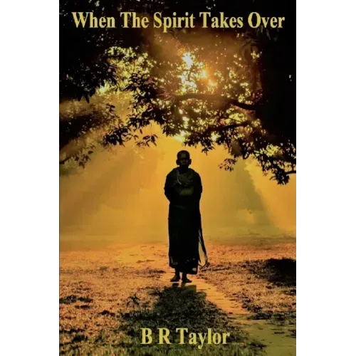 When The Spirit Takes Over - Paperback