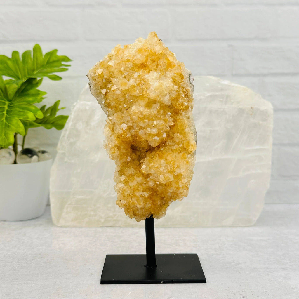 Citrine Cluster on Metal Stand