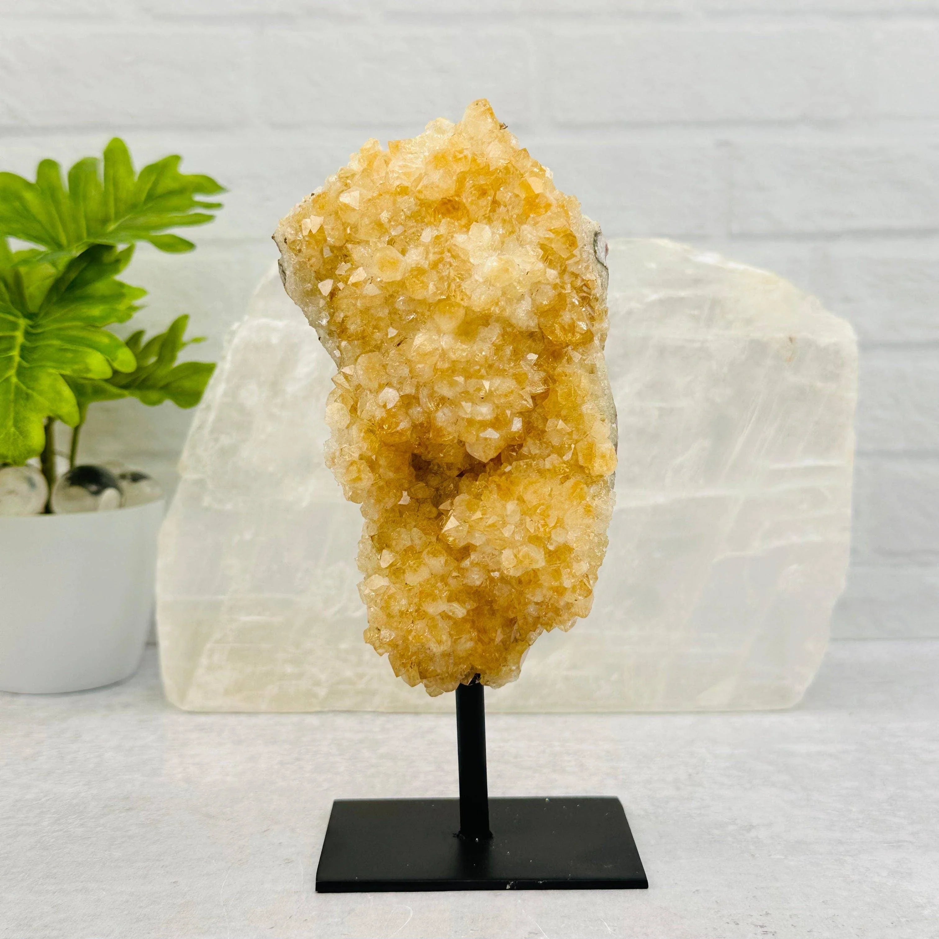 Citrine Cluster on Metal Stand