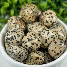 Large Dalmatian Jasper Tumbled | Tumbled Gemstone | Wiccan Center