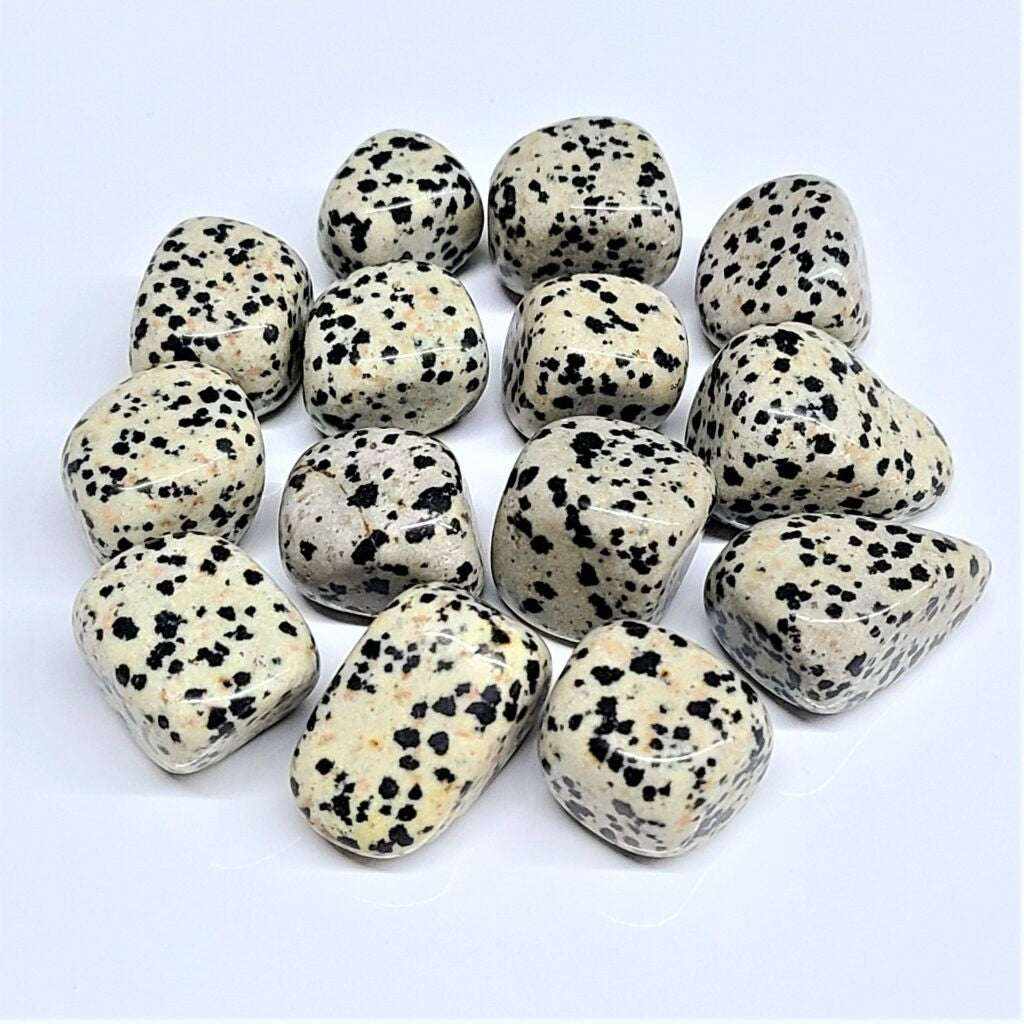 Dalmatian Jasper Tumbled Stone | Tumbled Stones | Wiccan Center