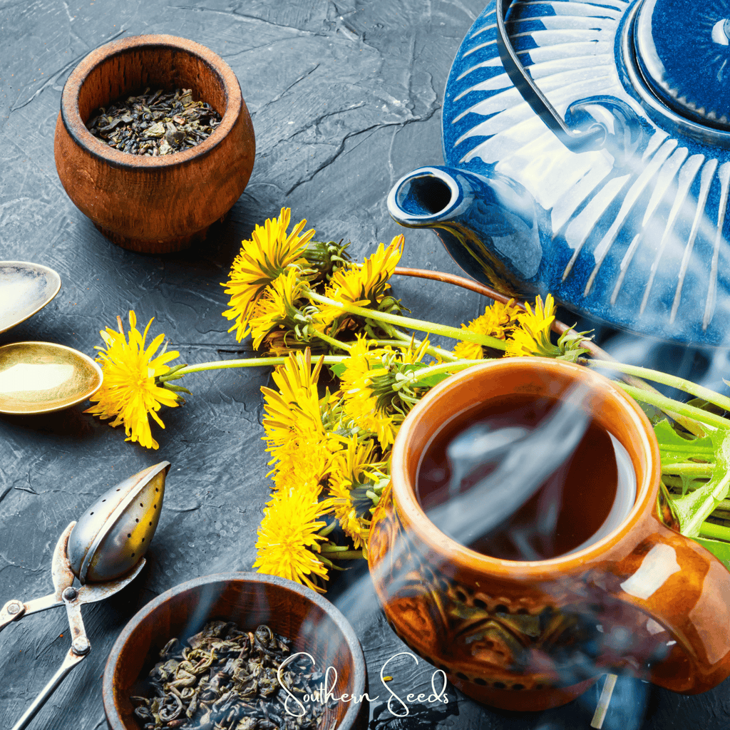True Dandelion – 50 Seeds | | Wiccan Center