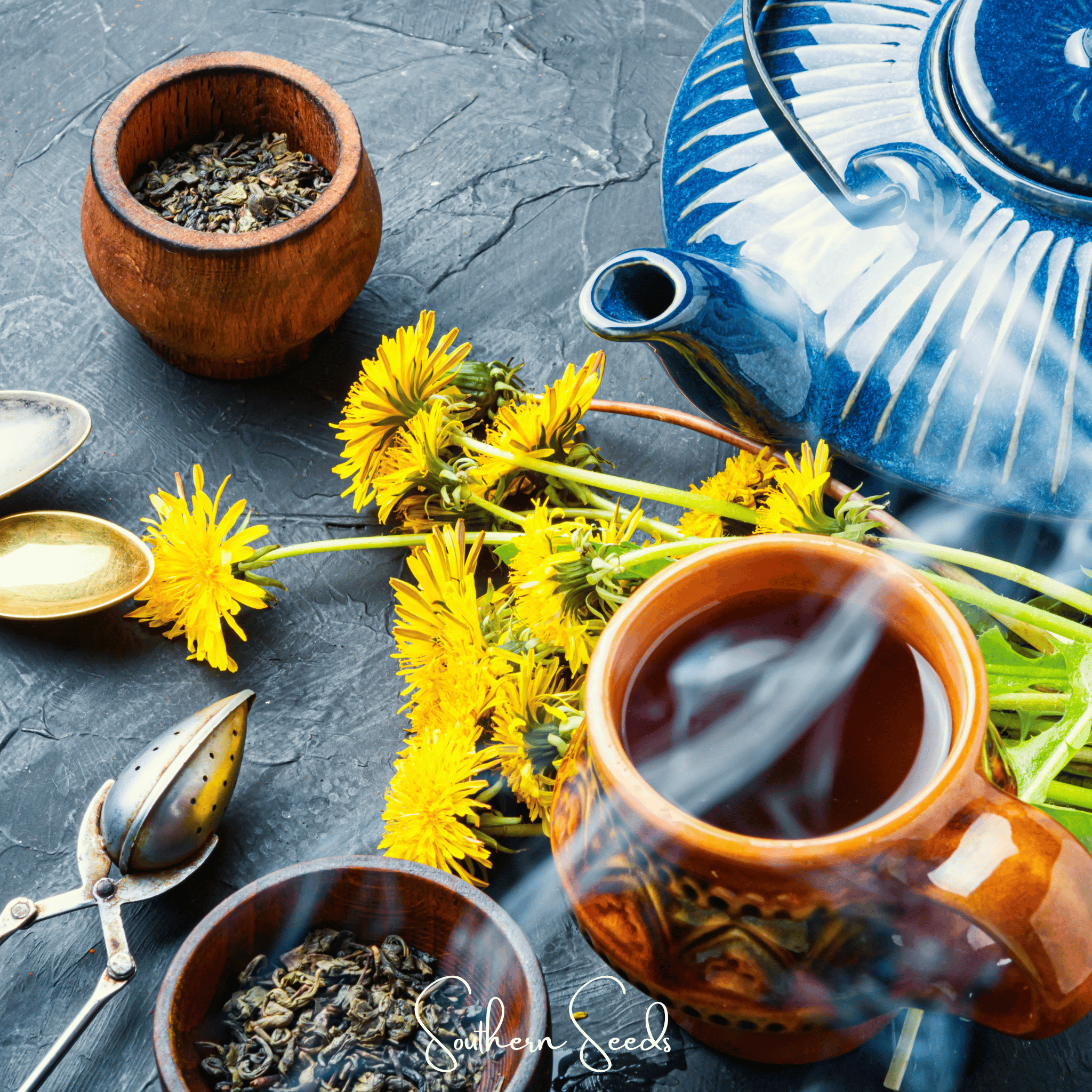 True Dandelion – 50 Seeds | | Wiccan Center