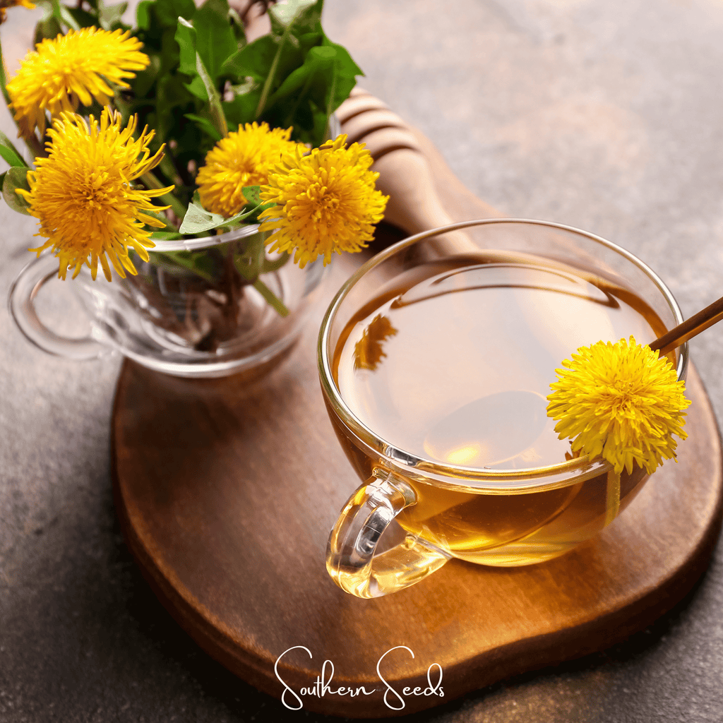 True Dandelion – 50 Seeds | | Wiccan Center