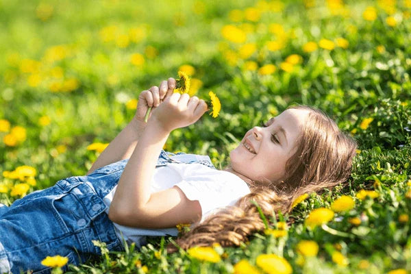 DandiPure™ – Wild Dandelion Seed | Pollinator-Friendly, Edible, Chemical-Free Lawn | | Wiccan Center