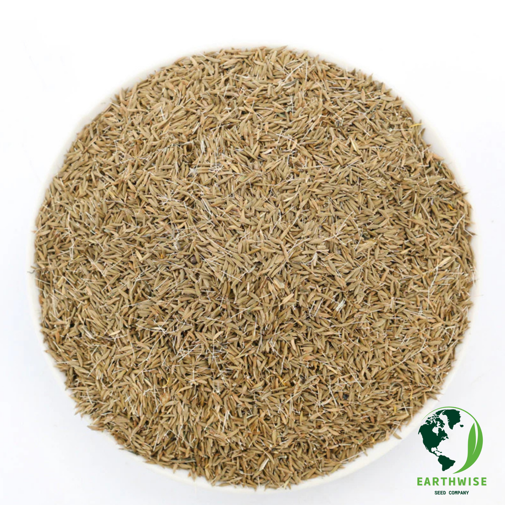 DandiPure™ – Wild Dandelion Seed | Pollinator-Friendly, Edible, Chemical-Free Lawn | | Wiccan Center