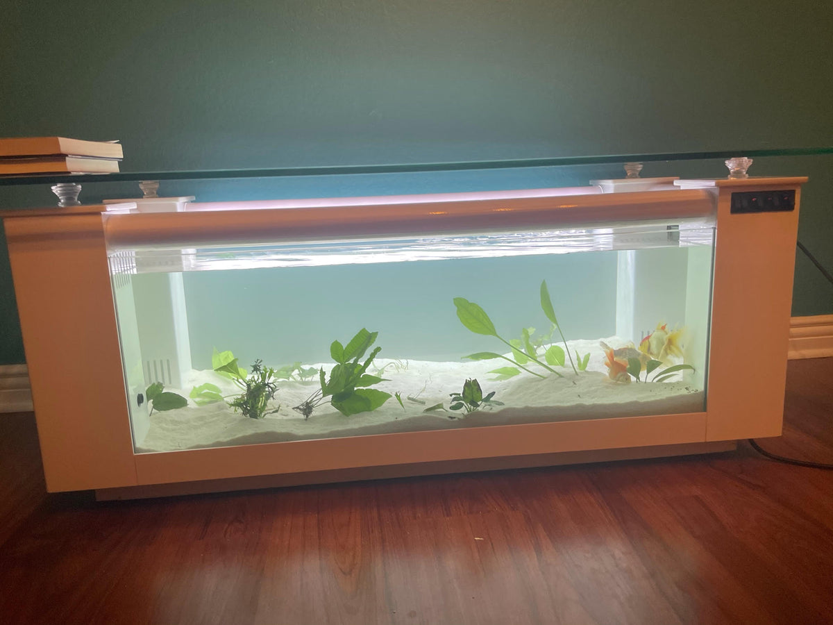 WARRANTY INCLUDED! 45 gallon GLASS rectangle table aquarium fish tank full setup | Pet Supplies > Fish & Aquariums > Aquariums & Tanks | Wiccan Center