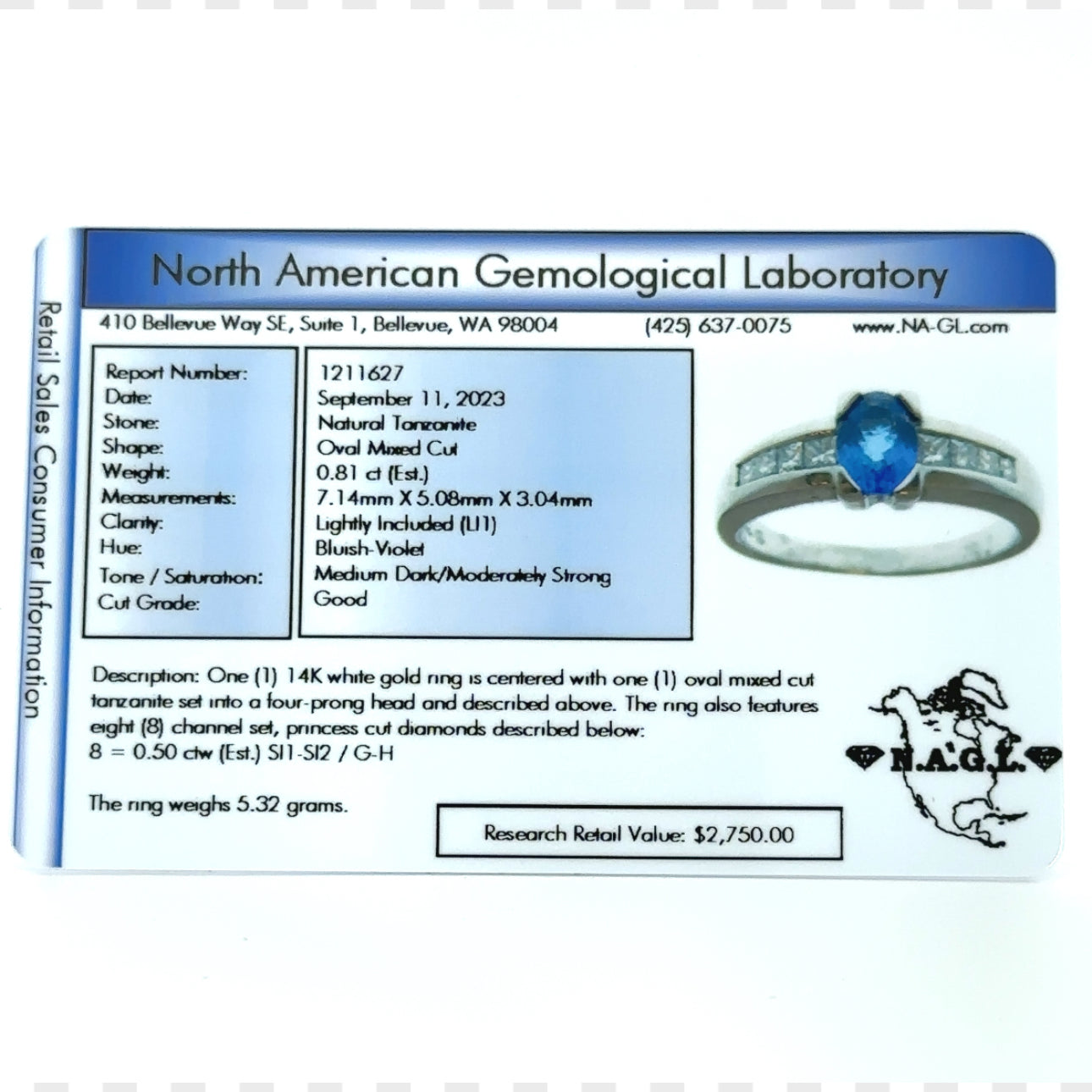 14k White Gold Natural Oval Cut Tanzanite and Princess Cut Diamond Ring | Jewelry > Rings | Wiccan Center