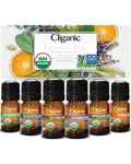 Essential Oils Set - Organic Aromatherapy Set | Essential Oil | Wiccan Center