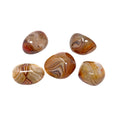 Tumbled Sardonyx - Medium (Singles) | Crystals & Minerals > Specimens | Wiccan Center