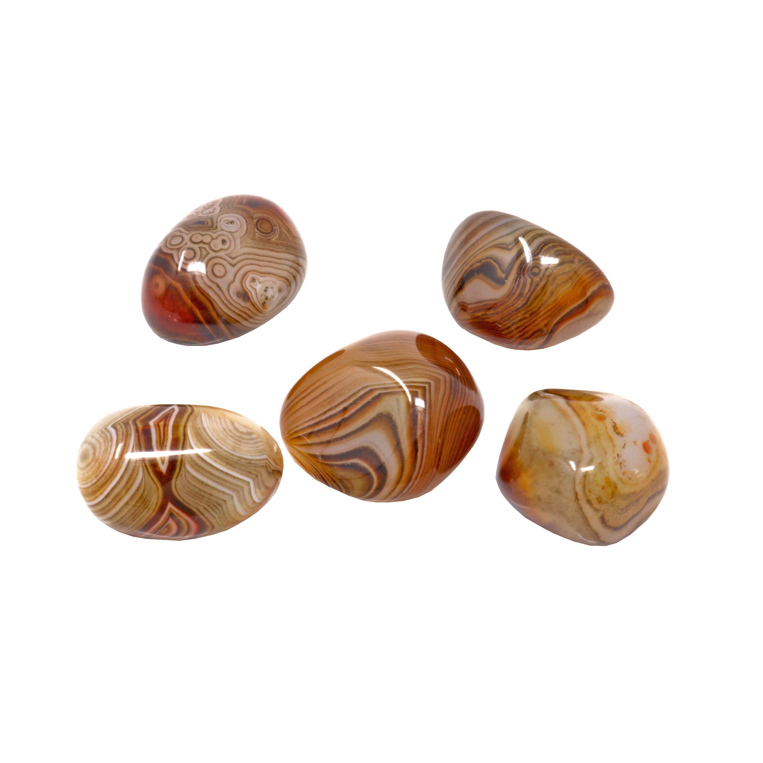 Tumbled Sardonyx - Medium (Singles) | Crystals & Minerals > Specimens | Wiccan Center