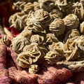 Desert Rose Selenite w/ Sandstone | Rough Gemstone | Wiccan Center